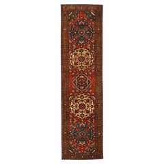 Persian Naien - 70056
