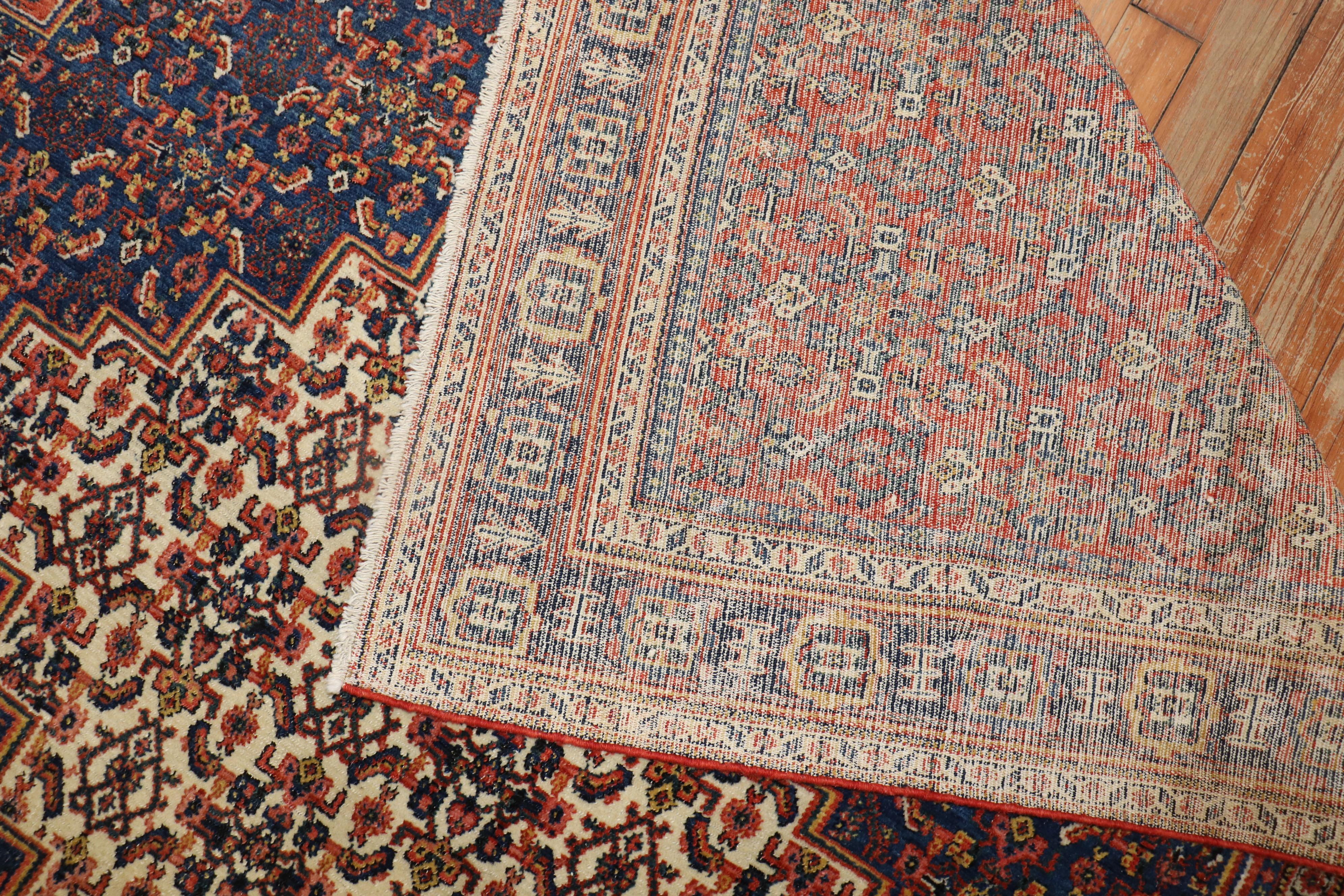 Persian Senneh Rug For Sale 1