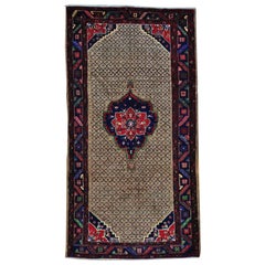 Persian Serab Camel Hair Hand Knotted Wide Runner Oriental Rug