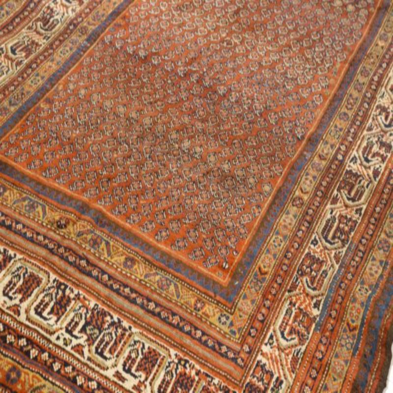 Asian Persian Shiraz Area Rugs - 16463 For Sale