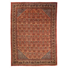 Tappeti persiani Sultanabad Rugs - 67139