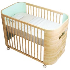 Personalized Embrace Love Crib in Beech Wood and Light Green by Misk Nursery