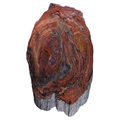 Pertrified Wood Slab Pertrified Wood Slab