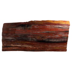 Antique Pertrified Wood slab