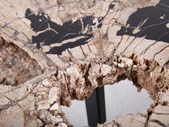 Pertrified Wood Slab with Metal Base