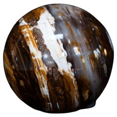 Antique Pertrified Wood sphere