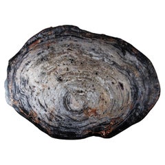 Antique Pertrified Wood table