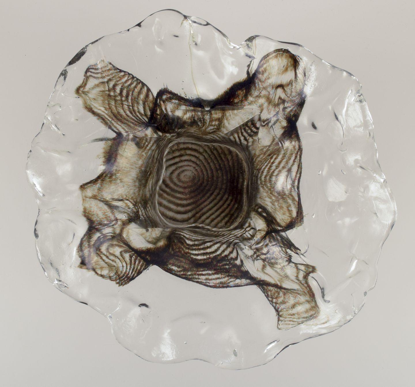 Finlandais Pertti Santalahti pour Humppila. Vase colossal en verre d'art. Forme organique. en vente
