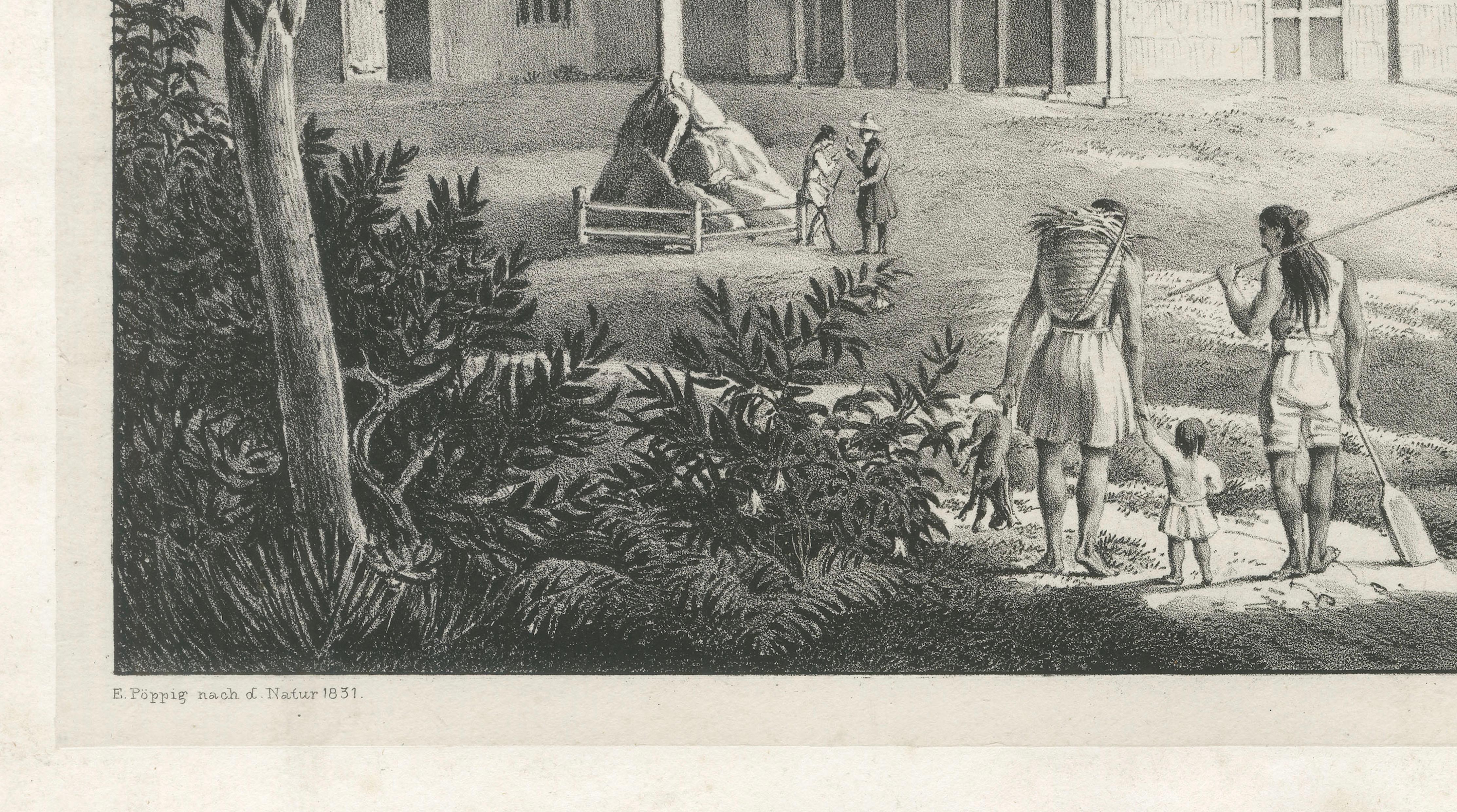 Peru Mission Sion, 1834 South America Exploration Lithograph by Poeppig, 1834