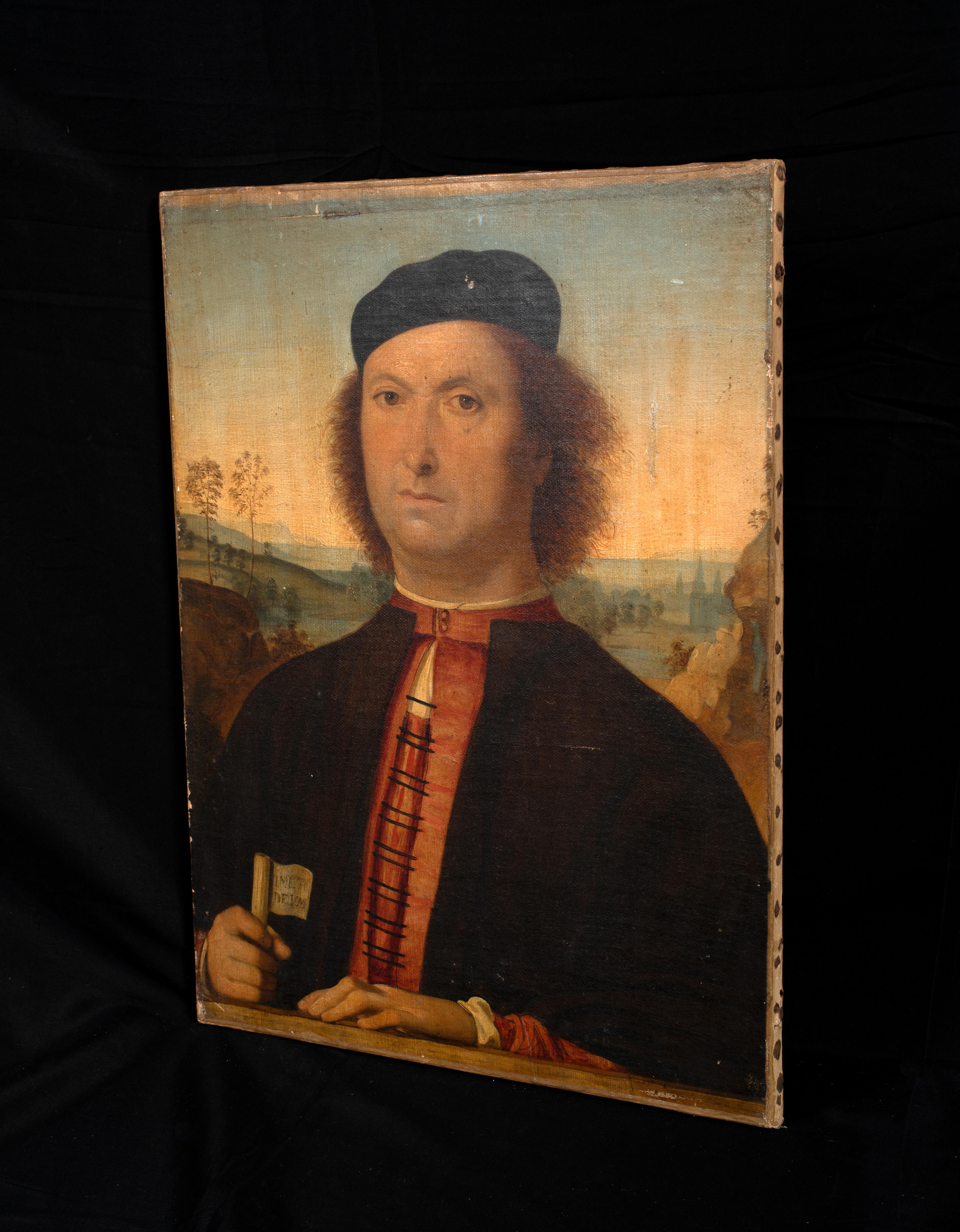 Ritratto di Francesco delle Opere, XVI secolo 2