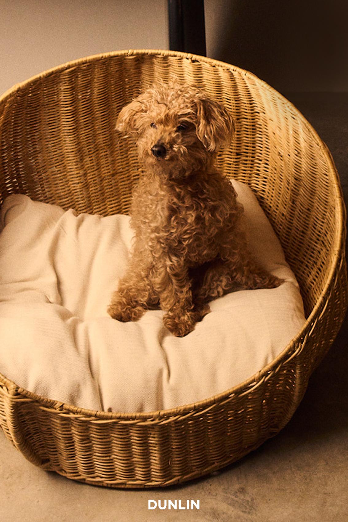 Panier pour animaux, petit en rotin par J'Jute Neuf - En vente à Sydney, AU
