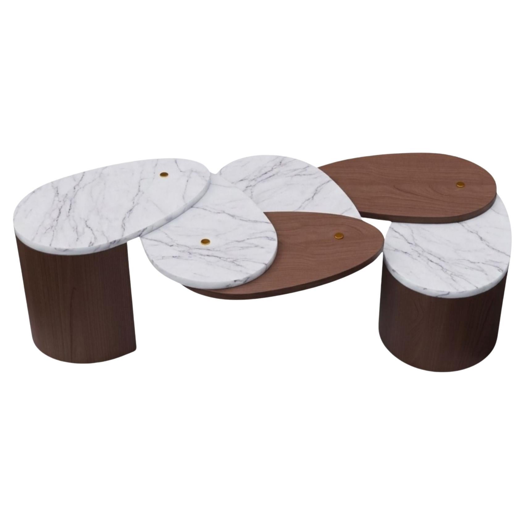 Pétala Sculptural Estremoz Marble Coffee Table by MainGUILTY w/Oak wood veneer