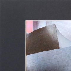 Walt Disney Concert Hall - Fotografia di paesaggio urbano di I.L.A. Opera d'arte a tecnica mista