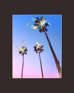 Santa Barbara 3 Palms I - Peinture de paysage bleu et rose vibrant au coucher du soleil
