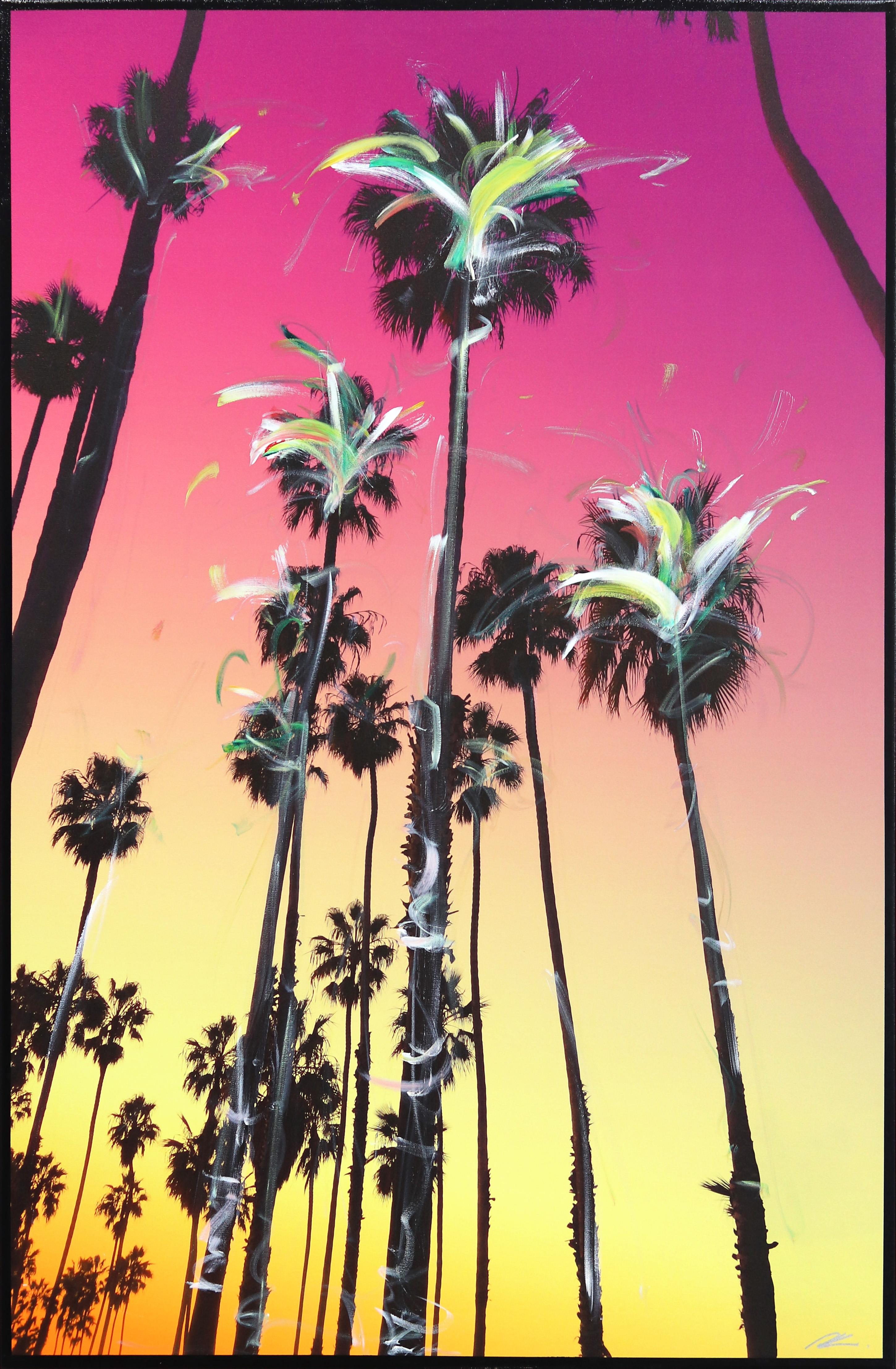 Santa Barbara Over Palms - Dusk Days 