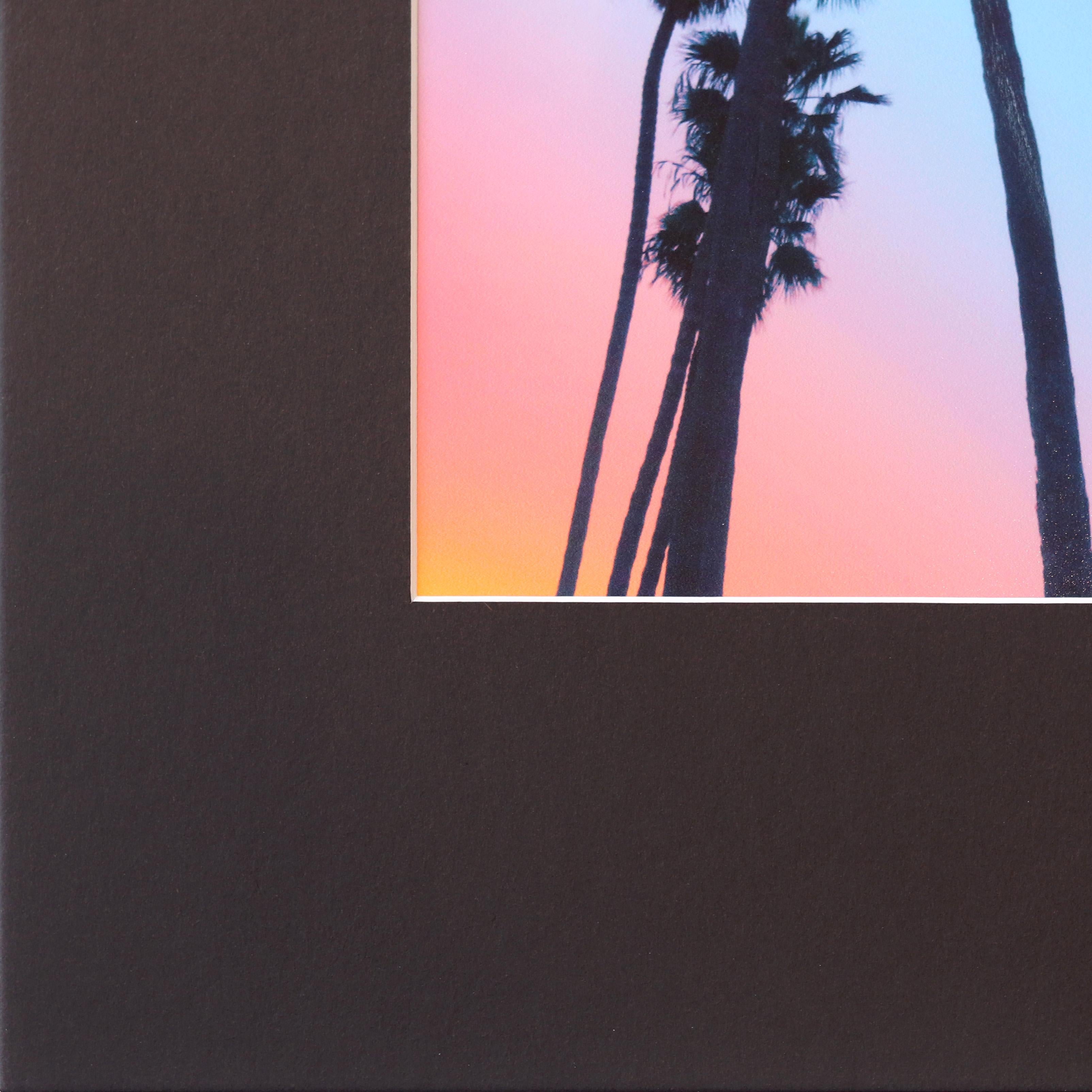 Santa Barbara Sky High Palms - Vibrant Sunset Landscape Painting - Photograph by Pete Kasprzak