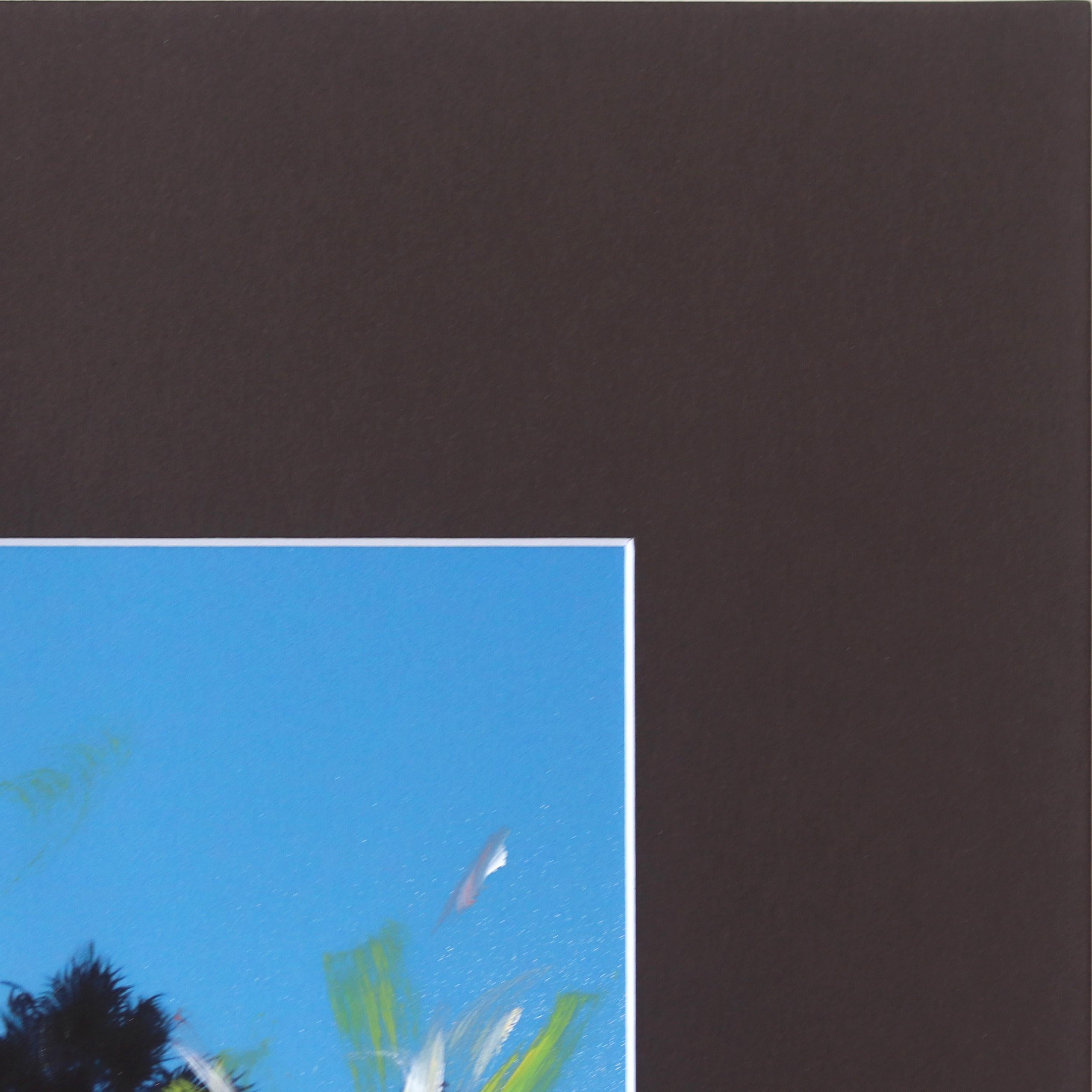 Santa Barbara Sky High Palms - Vibrant Sunset Landscape Painting - Black Landscape Photograph by Pete Kasprzak