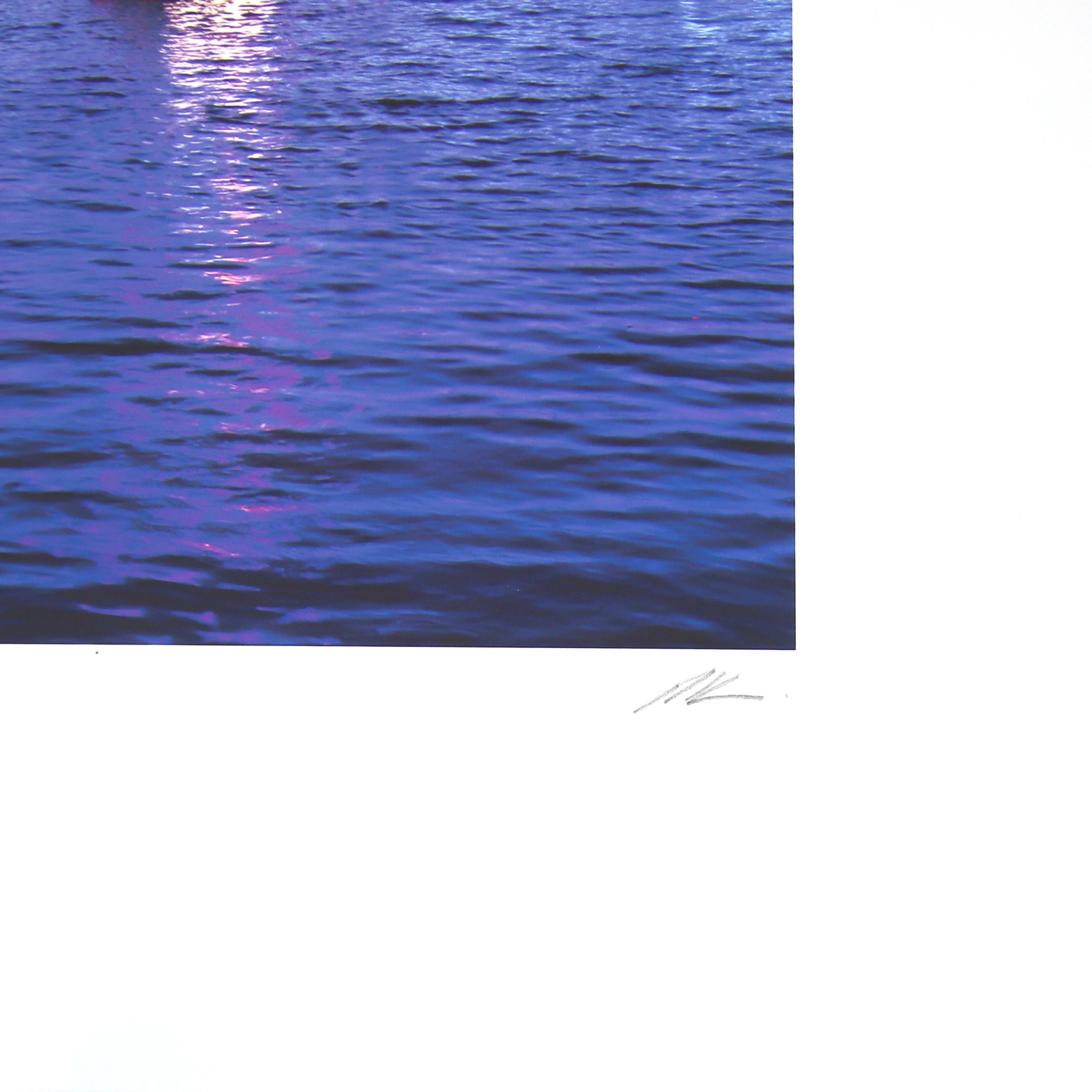 Echo Park Swans - Vibrant Blue Landscape Photography Painting Art on Paper For Sale 4