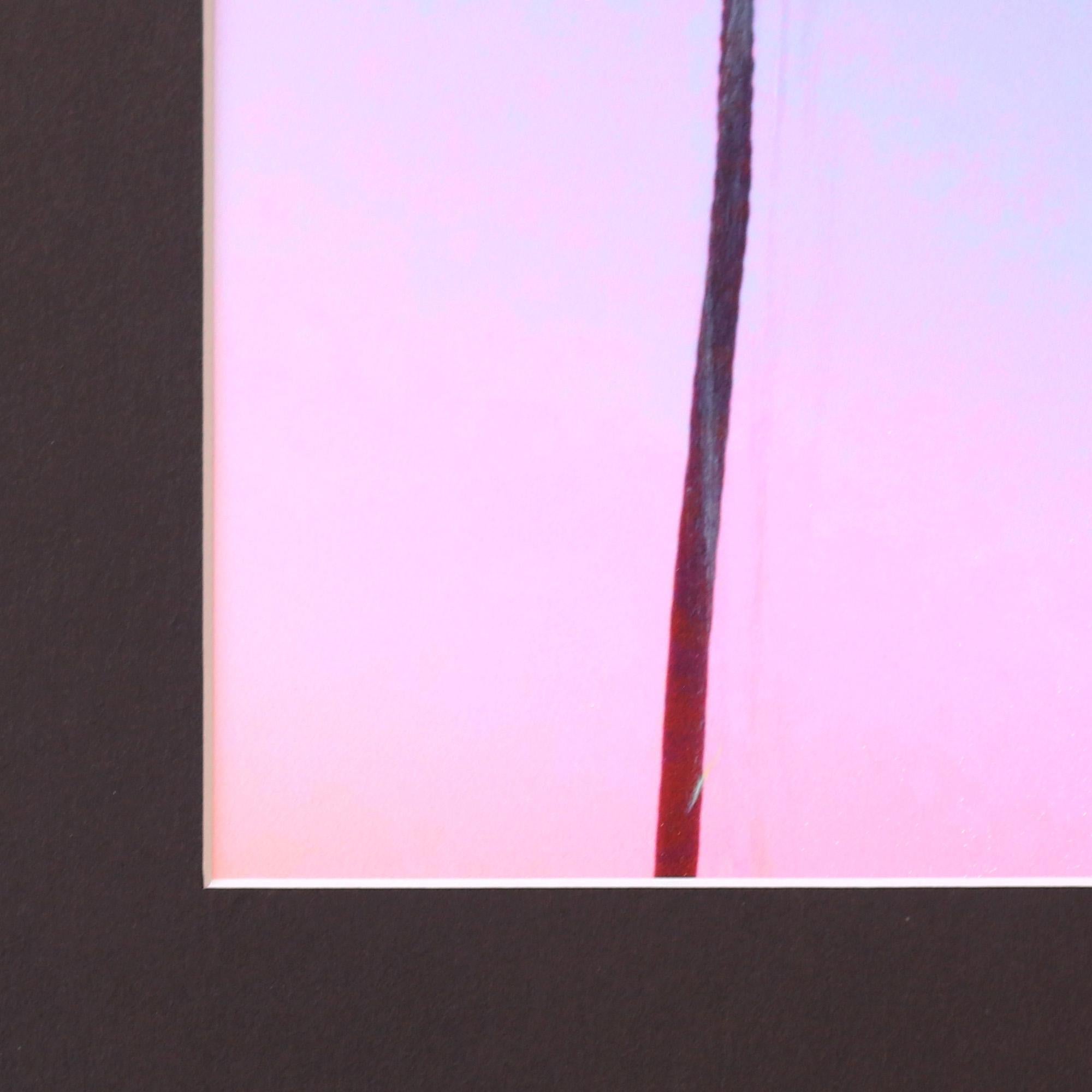 Santa Barbara 3 Palms I  - Paysage urbain Photographie Peinture Art - Contemporain Painting par Pete Kasprzak