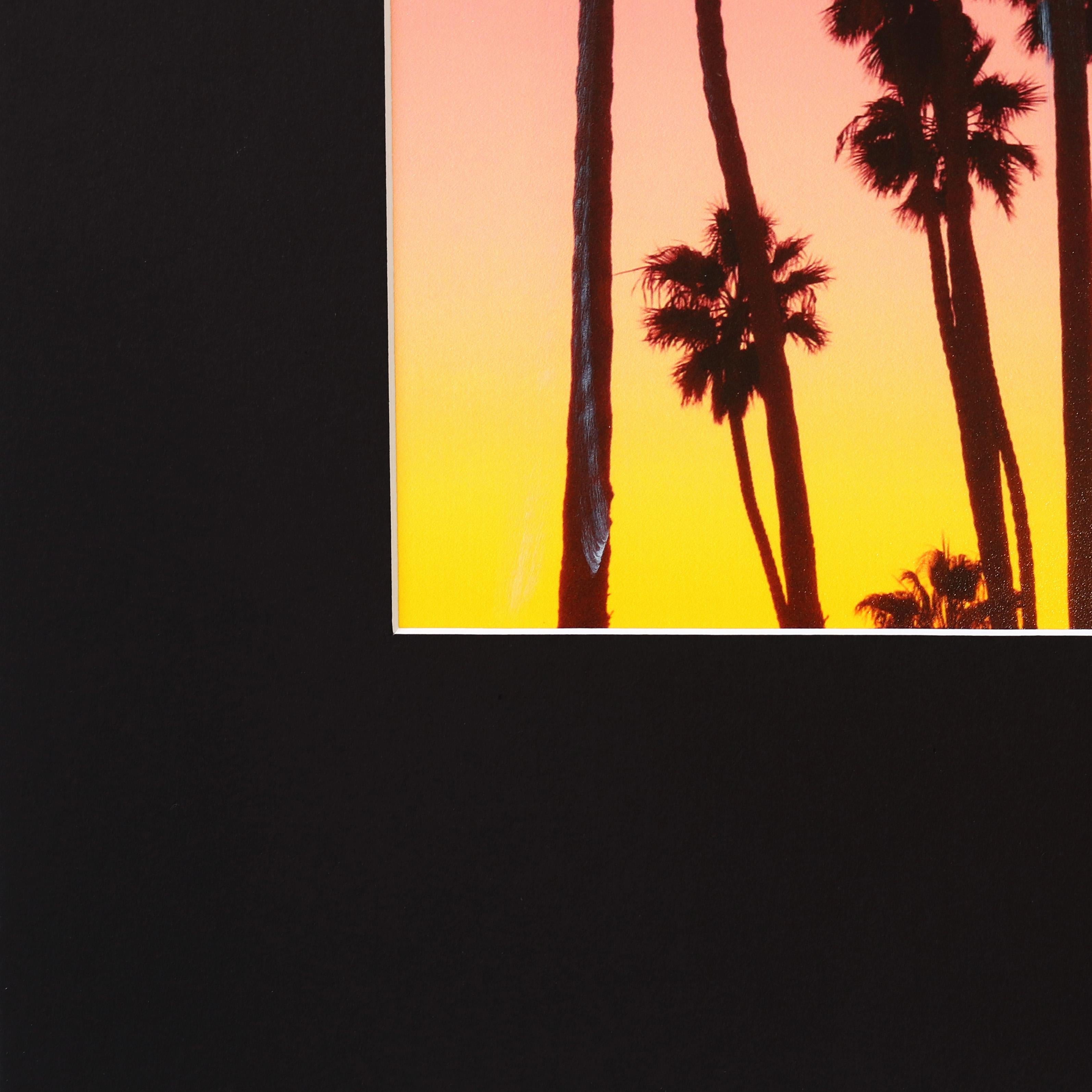Palms de Santa Barbara Grouped I  - Paysage urbain Photographie Peinture Art en vente 1