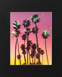Santa Barbara Palmeras agrupadas I  - Paisaje Urbano Fotografía Pintura Arte