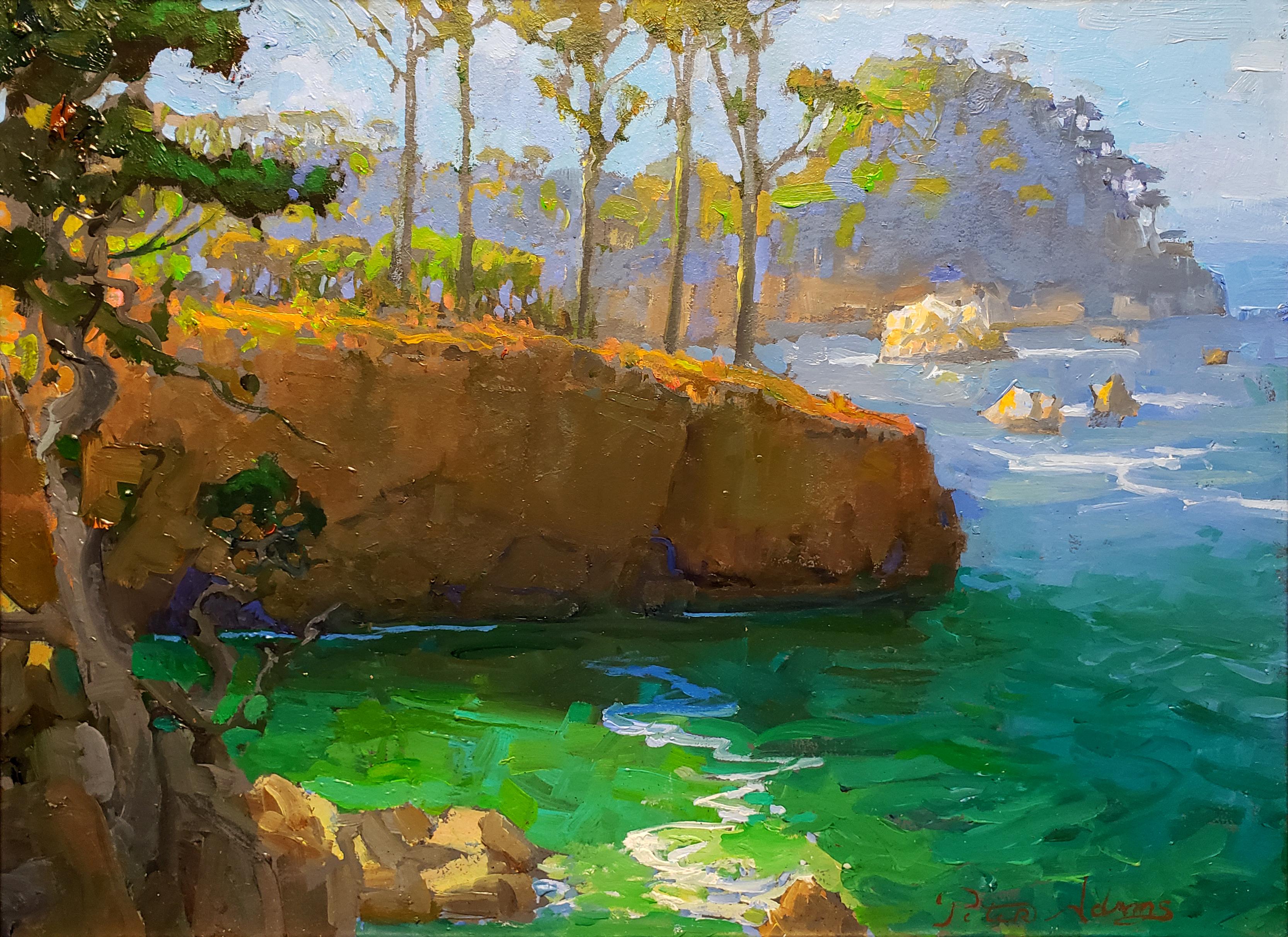 Après-midi à Whaler's Cove, Point Lobos, Californie - Painting de Peter Adams