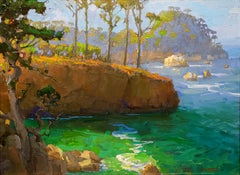 Tarde en Whaler's Cove, Point Lobos, California