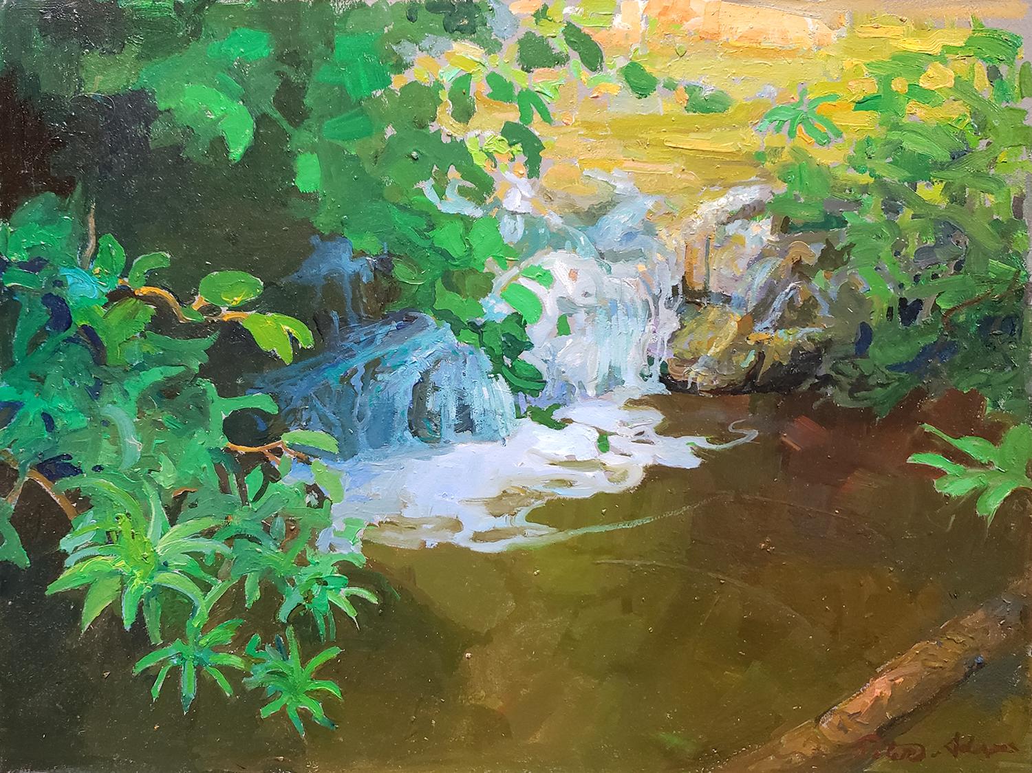 Tranquilas pozas sobre las cataratas Sturtevant; Bosque Angeles Crest - Painting de Peter Adams