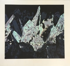 Peter Alexander "Sitka" Signed Limited Edition Lithograph