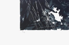 San Blas II, Peter Alexander