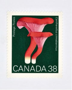 Peter Andrew Lusztyk - Canada 38 Mushroom (Green), 2021, Printer After