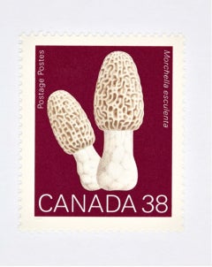 Peter Andrew Lusztyk - Canada 38 Mushroom (rouge), photographie 2021, imprimée d'après