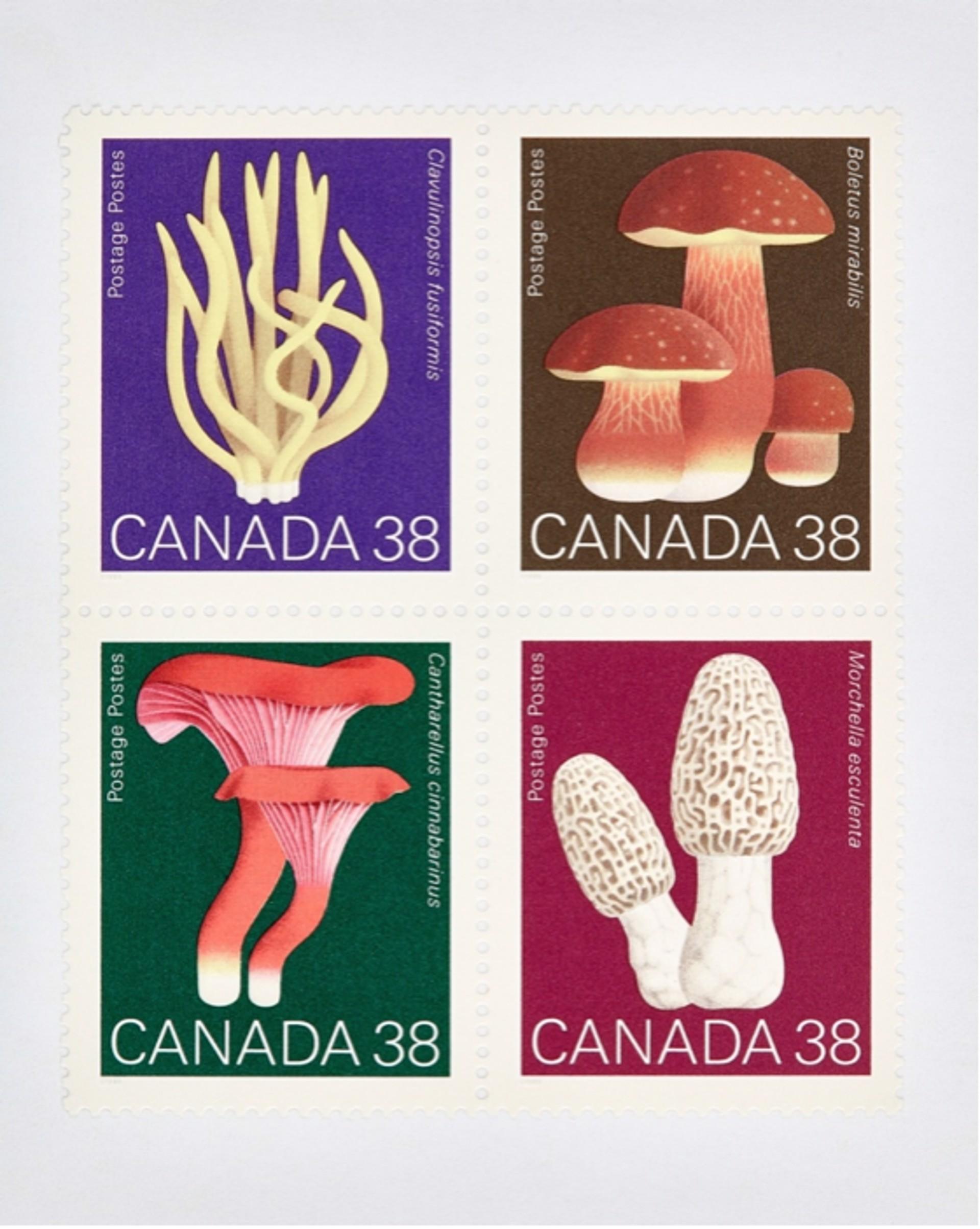 Canadá Champiñón 38 x 4
Impresión digital en C / Impresión pigmentada de archivo
Edición de 20 por tamaño
Tallas disponibles:
48 x 36

La serie "Coleccionables" es una exploración a nivel macro de monedas, billetes y sellos. Estas imágenes se crean
