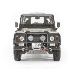 Peter Andrew Lusztyk - Defender, 2024, Printed After