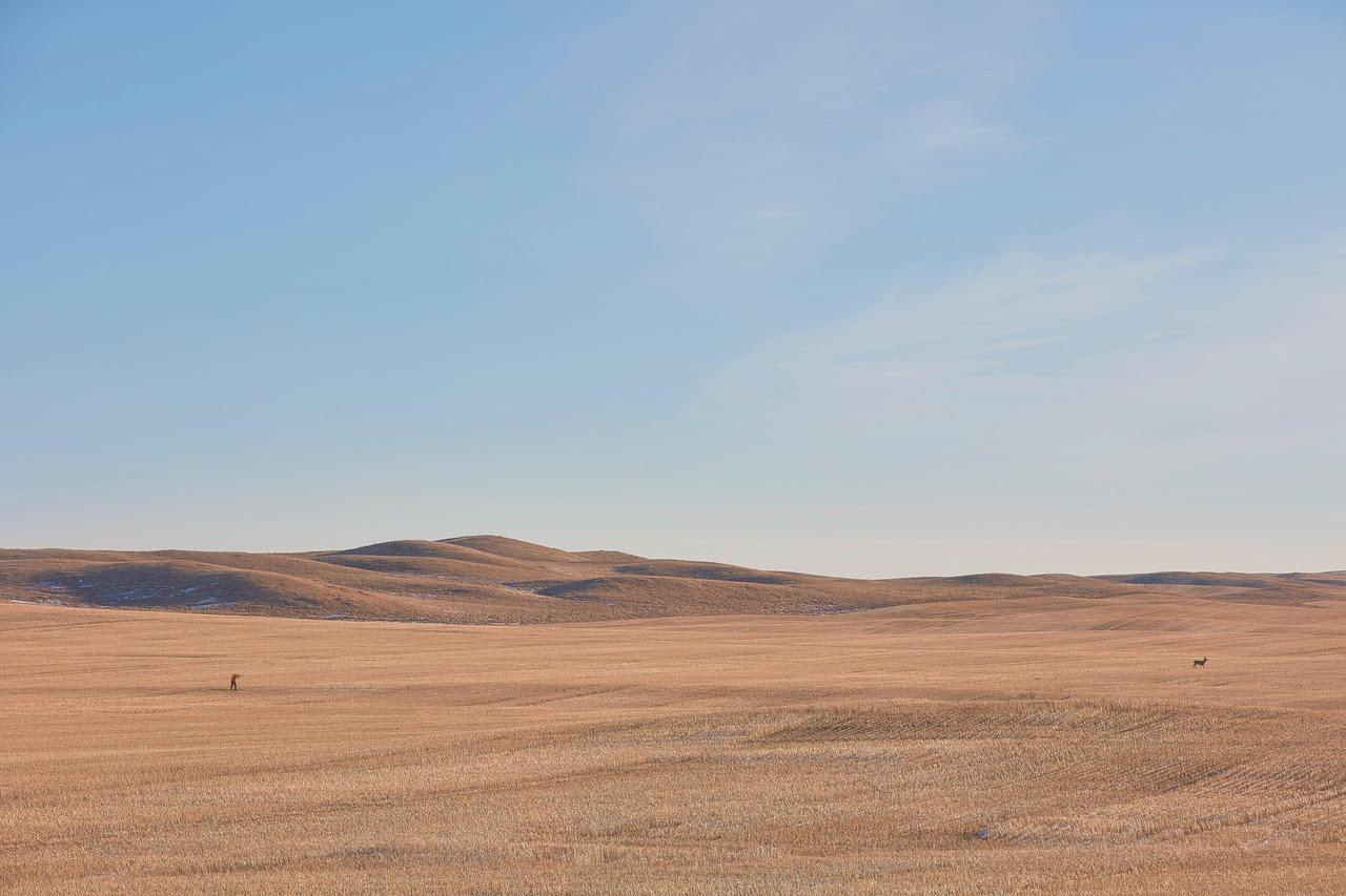 Mensch und Hirsch
Digitaler C-Print / Archivpigmentdruck
Auflage von 5 Stück pro Größe
Verfügbare Größen:
24" x 36"

Scenic Collection
S.

Da dieser Druck direkt vom Verlag versandt wird, kann der Verkäufer den Käufern erst am Verkaufsort genaue