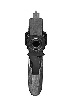 Peter Andrew Lusztyk - Rhino, Fotografía 2021, Impresión posterior