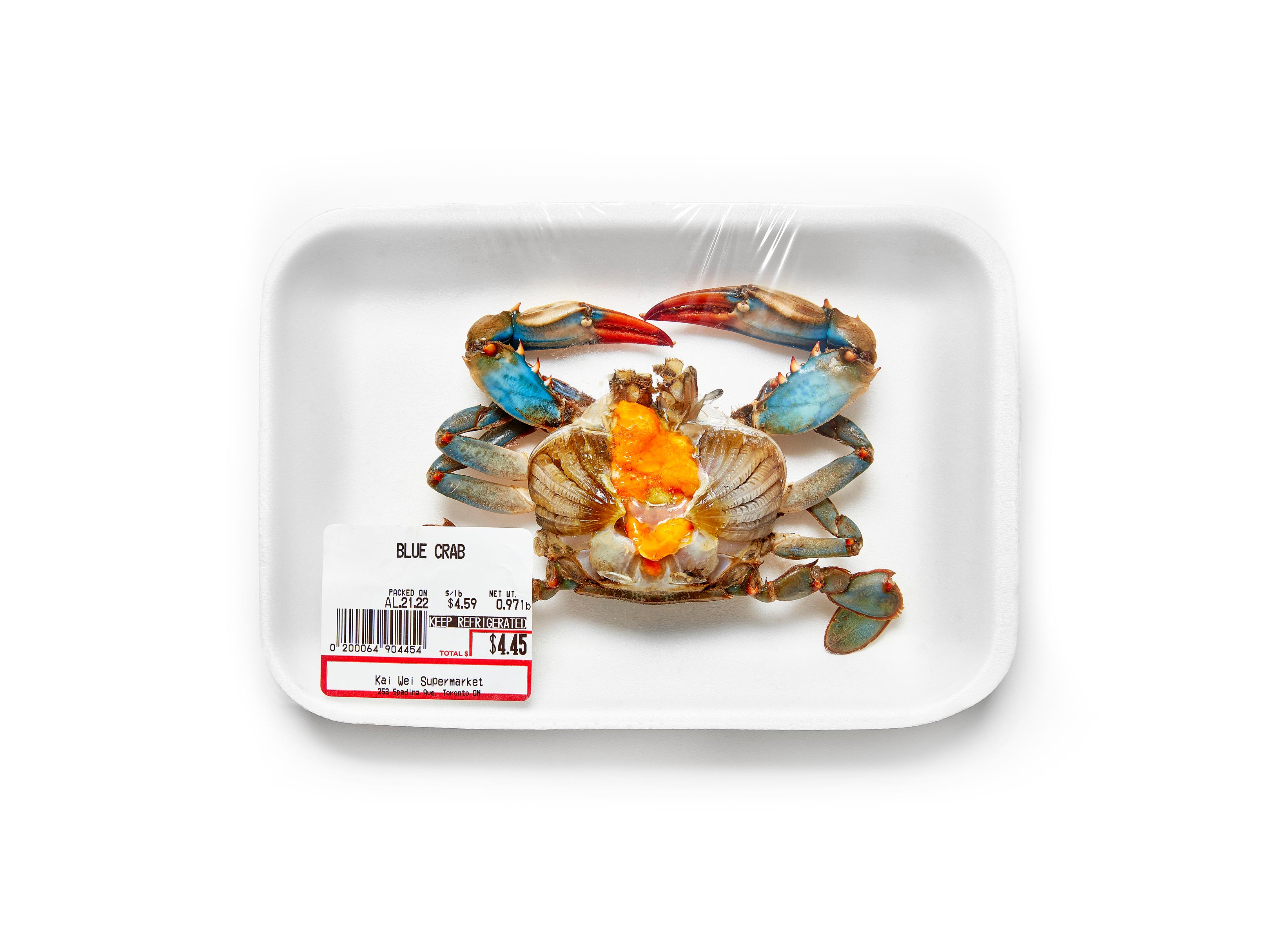 Still Life - Blue Crab
Digital C-Print / Archival Pigment Print
Edition of 5 per size
Available sizes:
18" x 24"
27" x 36"
36" x 48"

This photograph will be printed once payment has been received and will ship directly from the printer the artist