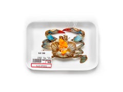 Peter Andrew Lusztyk - Still Life - Blue Crab, Photography 2023, Printed After