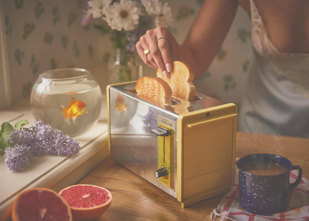 Peter Andrew Lusztyk - Toaster, Photography 2022, Printed After