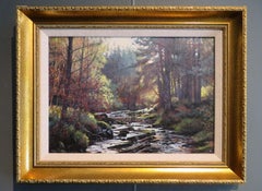 Original Scottish Realist late 20thC oil painting of a wooded burn / stream