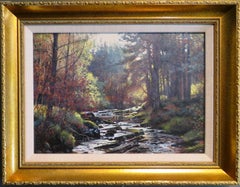 Original Scottish Realist late 20thC oil painting of a wooded burn / stream