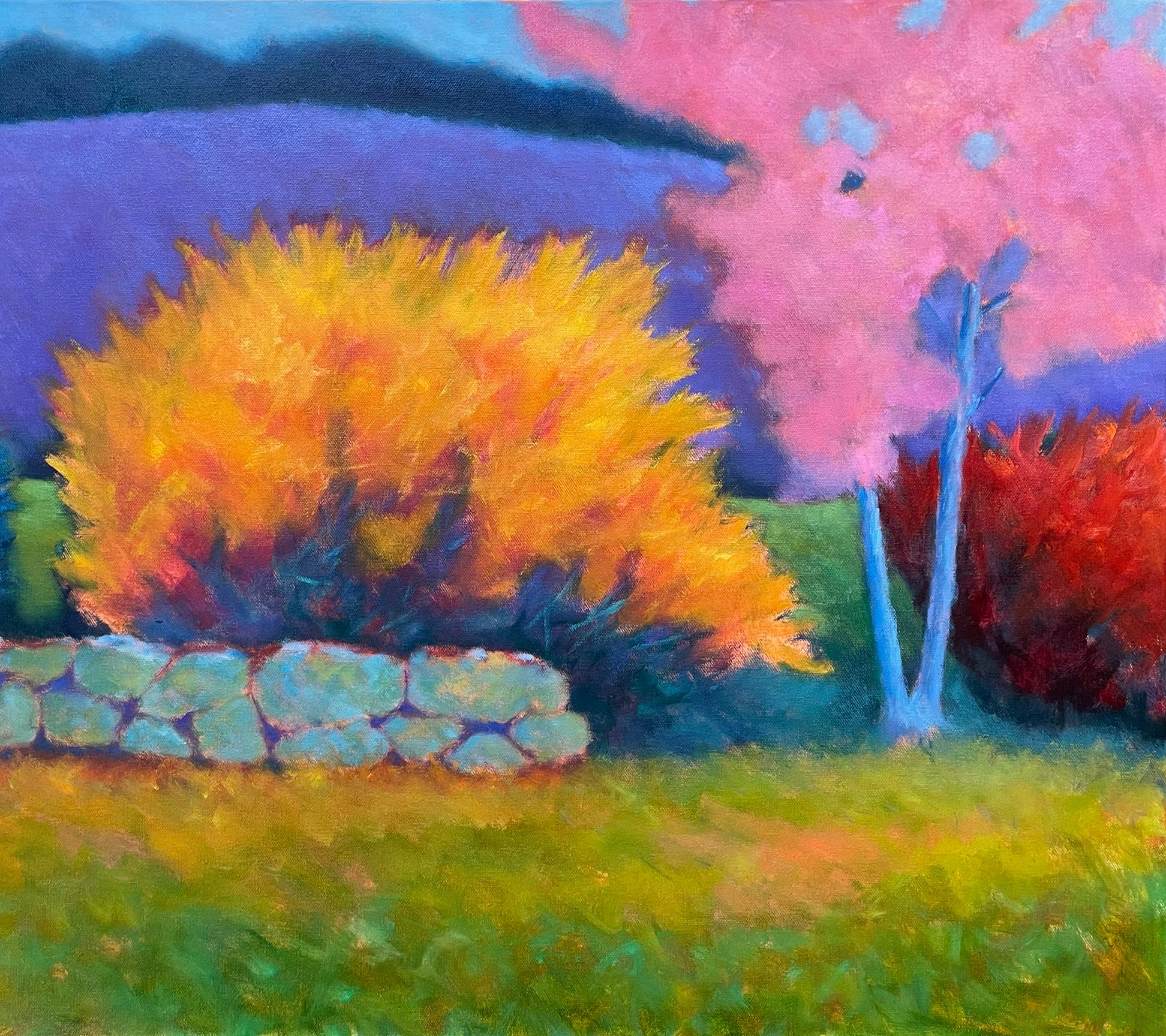 complementary landscape