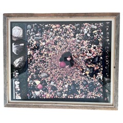 Peter Beard