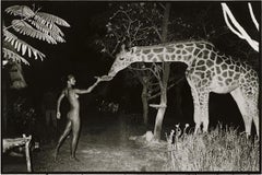 "Beyond Gauguin", Night Giraffe Feeding 