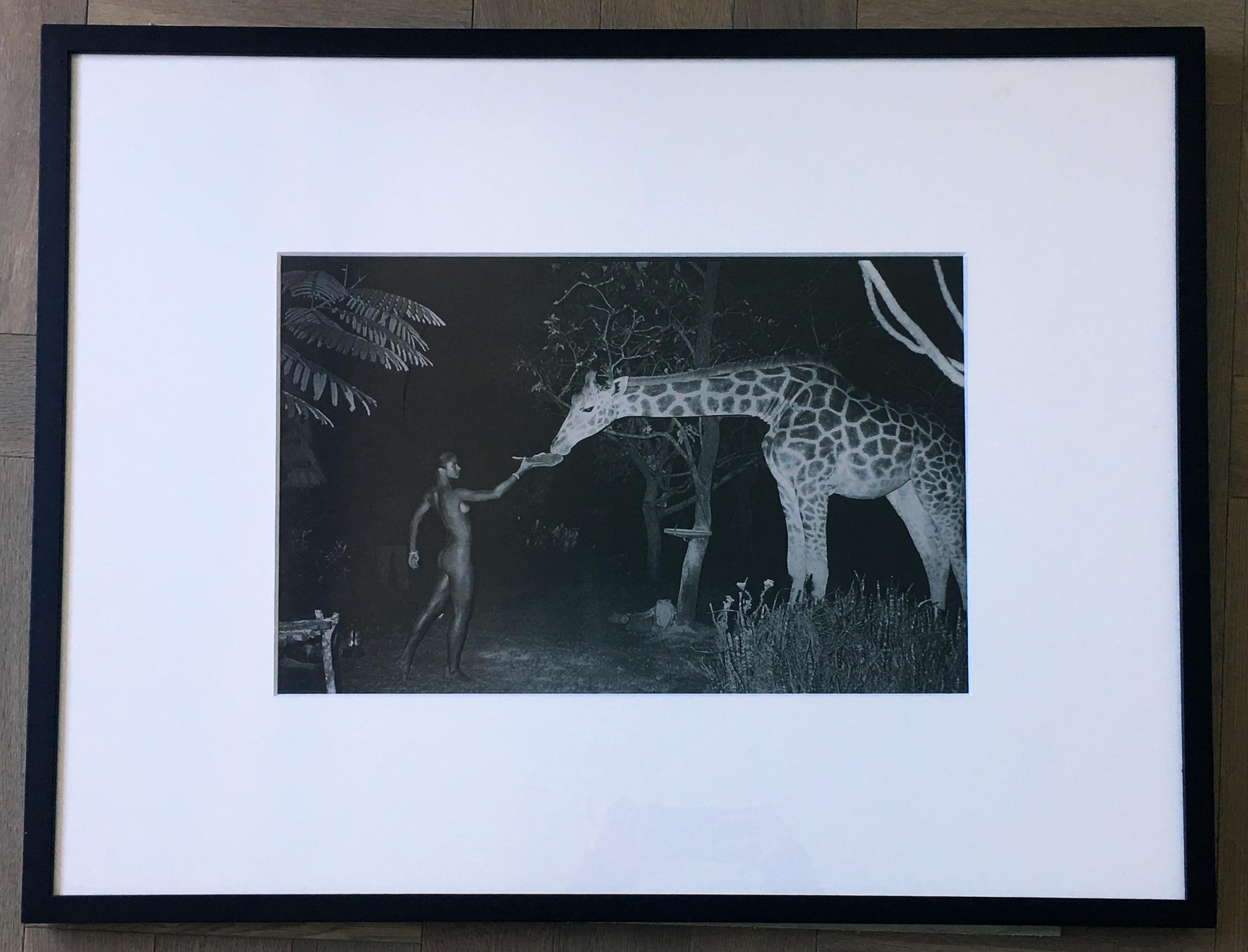 Peter Beard - Beyond Gauguin Night Giraffe Feeding - Framed/Unsigned 1