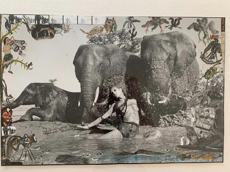 Peter Beard Botswana (Pirelli) For Sale at 1stDibs