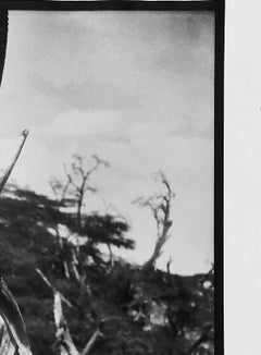 Peter Beard - Charge Déléphant/Non firmato