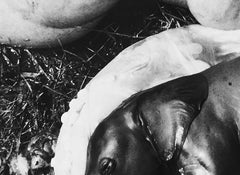 Peter Beard - Elephant's Embryo, Uganda, Platinum Print- Unsigned