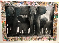 Eles at Buffalo Springs - Animal, Landscape Photography, Peter Beard