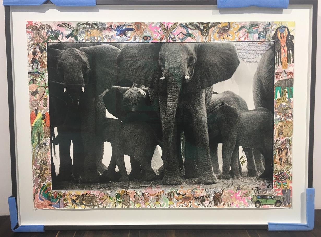 Eles at Buffalo Springs – Tier, Landschaftsfotografie, Peter Beard 1